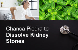 Chanca Piedra to Dissolve Kidney Stones